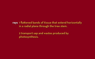 rays 1 ﬂa ened bands of tissue that extend horizontally
     in a radial plane through the tree stem.

     2 transport sap and wastes produced by
     photosynthesis.
 