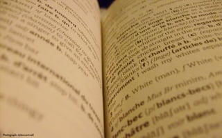 Photograph: dylancantwell
 