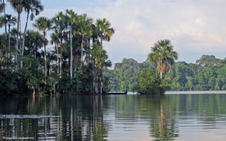 Photograph: stephenk1977
 