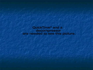 QuickTimeª and a
       decompressor
are needed to see this picture.
 