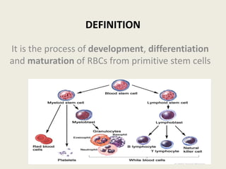 It is the process of development, differentiation
and maturation of RBCs from primitive stem cells
DEFINITION
 