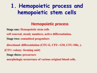 1. Hemopoietic process and
hemopoietic stem cells
Hemopoietic process
Stage one: Hemopoietic stem cells
self renewal, steady numbers, active differentiation.
Stage two: committed progenitors
directional differentiation (CFU-E, CFU- GM, CFU-MK, ).
[CFU: colony- forming unit}
Stage three: precursors
morphologic occurrence of various original blood cells.
 