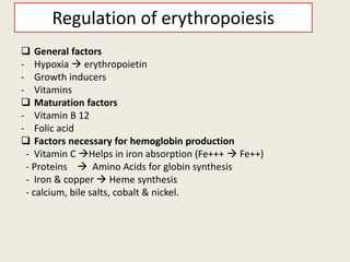 Regulation of erythropoiesis
❑ General factors
- Hypoxia → erythropoietin
- Growth inducers
- Vitamins
❑ Maturation factors
- Vitamin B 12
- Folic acid
❑ Factors necessary for hemoglobin production
- Vitamin C →Helps in iron absorption (Fe+++ → Fe++)
- Proteins → Amino Acids for globin synthesis
- Iron & copper → Heme synthesis
- calcium, bile salts, cobalt & nickel.
 