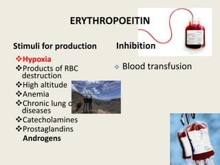 ERYTHROPOEITIN
Stimuli for production
❖Hypoxia
❖Products of RBC
destruction
❖High altitude
❖Anemia
❖Chronic lung or heart
diseases
❖Catecholamines
❖Prostaglandins
Androgens
Inhibition
❖ Blood transfusion
 