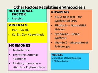 Other Factors Regulating erythropoiesis
NUTRITIONAL
FACTOR
• Proteins
VITAMINS
• B12 & folic acid – for
synthesis of DNA
• Riboflavin – Normal BM
division
• Pyridoxine – Heme
synthesis
• Vitamin C – absorption of
Fe from gut
MINERALS
• Iron – for Hb
• Cu, Zn, Co– Hb synthesis
HORMONES
• Testosterone
• Thyroxine, Adrenal
hormones
• Pituitary hormones –
stimulate Erythropoietin
NEURAL
Stimulation of Hypothalamus
 RBC production
 