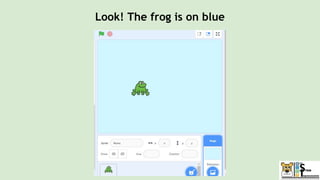 Look! The frog is on blue
 
