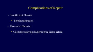 Complications of Repair
• Insufficient fibrosis:
• hernia; ulceration
• Excessive fibrosis:
• Cosmetic scarring; hypertrophic scars; keloid
 