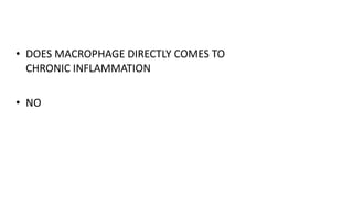 • DOES MACROPHAGE DIRECTLY COMES TO
CHRONIC INFLAMMATION
• NO
 