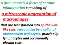 A granuloma is a focus of chronic
inflammation consisting of
a microscopic aggregation of
macrophages
that are transformed into epithelium-
like cells, surrounded by a collar of
mononuclear leukocytes, principally
lymphocytes and occasionally
plasma cells.
 
