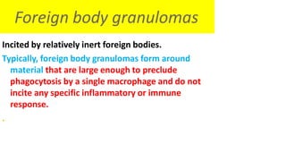 Foreign body granulomas
Incited by relatively inert foreign bodies.
Typically, foreign body granulomas form around
material that are large enough to preclude
phagocytosis by a single macrophage and do not
incite any specific inflammatory or immune
response.
.
 