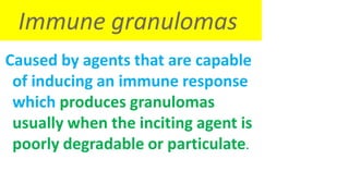Immune granulomas
Caused by agents that are capable
of inducing an immune response
which produces granulomas
usually when the inciting agent is
poorly degradable or particulate.
 
