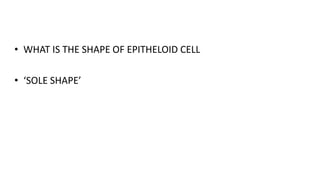 • WHAT IS THE SHAPE OF EPITHELOID CELL
• ‘SOLE SHAPE’
 