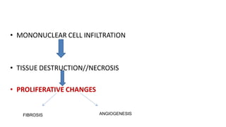 • MONONUCLEAR CELL INFILTRATION
• TISSUE DESTRUCTION//NECROSIS
• PROLIFERATIVE CHANGES
FIBROSIS ANGIOGENESIS
 