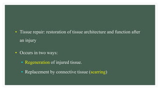 • Tissue repair: restoration of tissue architecture and function after
an injury
• Occurs in two ways:
• Regeneration of injured tissue.
• Replacement by connective tissue (scarring)
 
