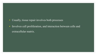 • Usually, tissue repair involves both processes
• Involves cell proliferation, and interaction between cells and
extracellular matrix.
 