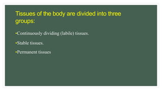 Tissues of the body are divided into three
groups:
•Continuously dividing (labile) tissues.
•Stable tissues.
•Permanent tissues
 