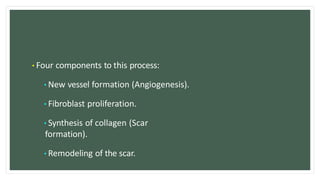 •Four components to this process:
•New vessel formation (Angiogenesis).
•Fibroblast proliferation.
•Synthesis of collagen (Scar
formation).
•Remodeling of the scar.
 