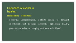 Sequence of events in
healing
Initial phase - Hemostasis
• Following vasoconstriction,
endothelium and discharge
platelets
adenosine
adhere to
diphosphate
damaged
(ADP),
promoting thrombocyte clumping, which dams the Wound
 