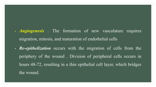 • Angiogenesis . The formation of new vasculature requires
migration, mitosis, and maturation of endothelial cells
• Re-epithelization occurs with the migration of cells from the
periphery of the wound . Division of peripheral cells occurs in
hours 48-72, resulting in a thin epithelial cell layer, which bridges
the wound.
 