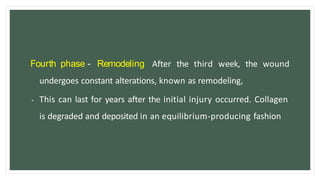 Fourth phase - Remodeling After the third week, the wound
undergoes constant alterations, known as remodeling,
• This can last for years after the initial injury occurred. Collagen
is degraded and deposited in an equilibrium-producing fashion
 