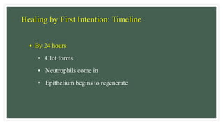 Healing by First Intention: Timeline
• By 24 hours
• Clot forms
• Neutrophils come in
• Epithelium begins to regenerate
 