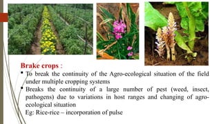 Classification of crops- Crops in field.pptx