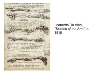 Leonardo Da Vinci, &quot;Studies of the Arm,&quot; c. 1510 