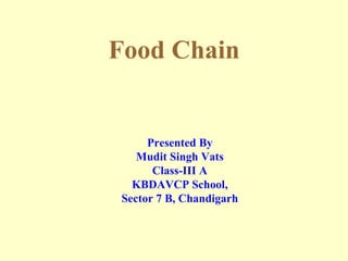 Food Chain Presented By Mudit Singh Vats Class-III A KBDAVCP School, Sector 7 B, Chandigarh 