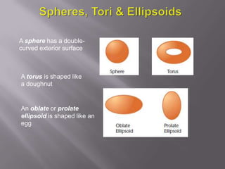 A sphere has a double-
curved exterior surface



A torus is shaped like
a doughnut


An oblate or prolate
ellipsoid is shaped like an
egg
 