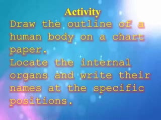 Activity
Draw the outline of a
human body on a chart
paper.
Locate the internal
organs and write their
names at the specific
positions.
 