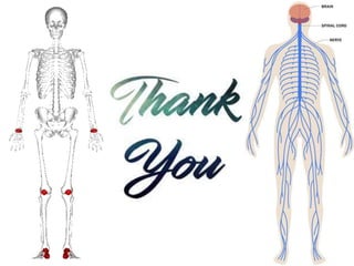 class3science-thehumanbodyfloraupshon-200427045810.pptx