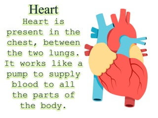 Heart
Heart is
present in the
chest, between
the two lungs.
It works like a
pump to supply
blood to all
the parts of
the body.
 