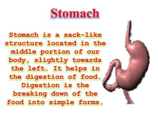 Stomach
Stomach is a sack-like
structure located in the
middle portion of our
body, slightly towards
the left. It helps in
the digestion of food.
Digestion is the
breaking down of the
food into simple forms.
 