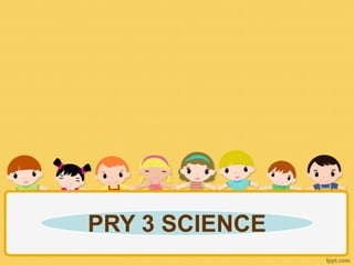 PRY 3 SCIENCE
 