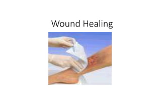 Wound Healing
 