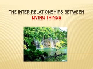 THE INTER-RELATIONSHIPS BETWEEN
LIVING THINGS
 