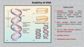 Structure of DNA , it's general characteristics, functions and topology ...