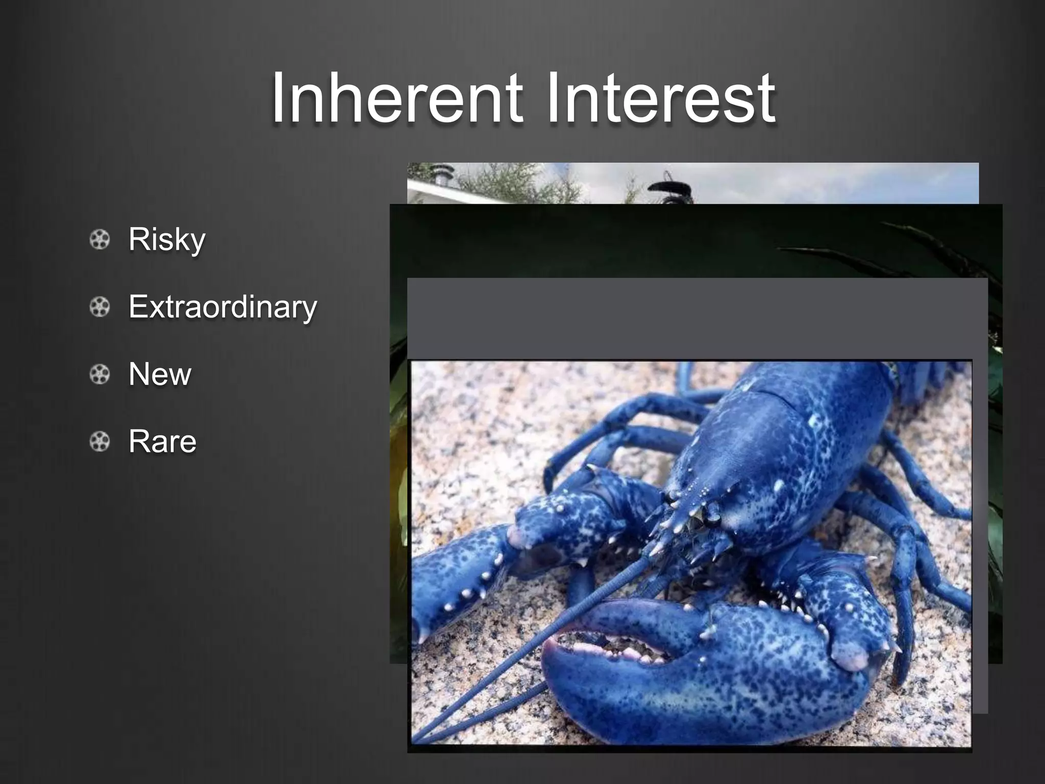 Inherent Interest
Risky

Extraordinary

New

Rare
 