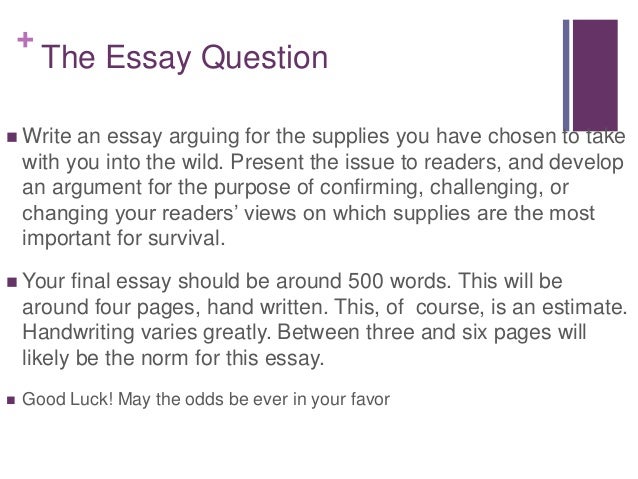 My experience in english class essay image