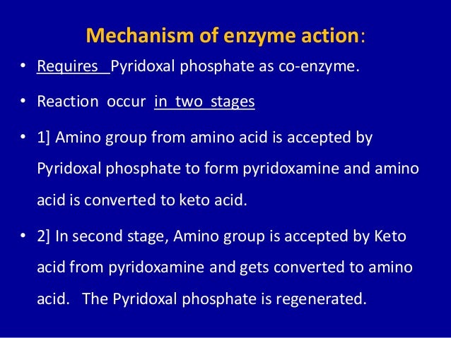 General Reactions involved in amino acid metabolism
