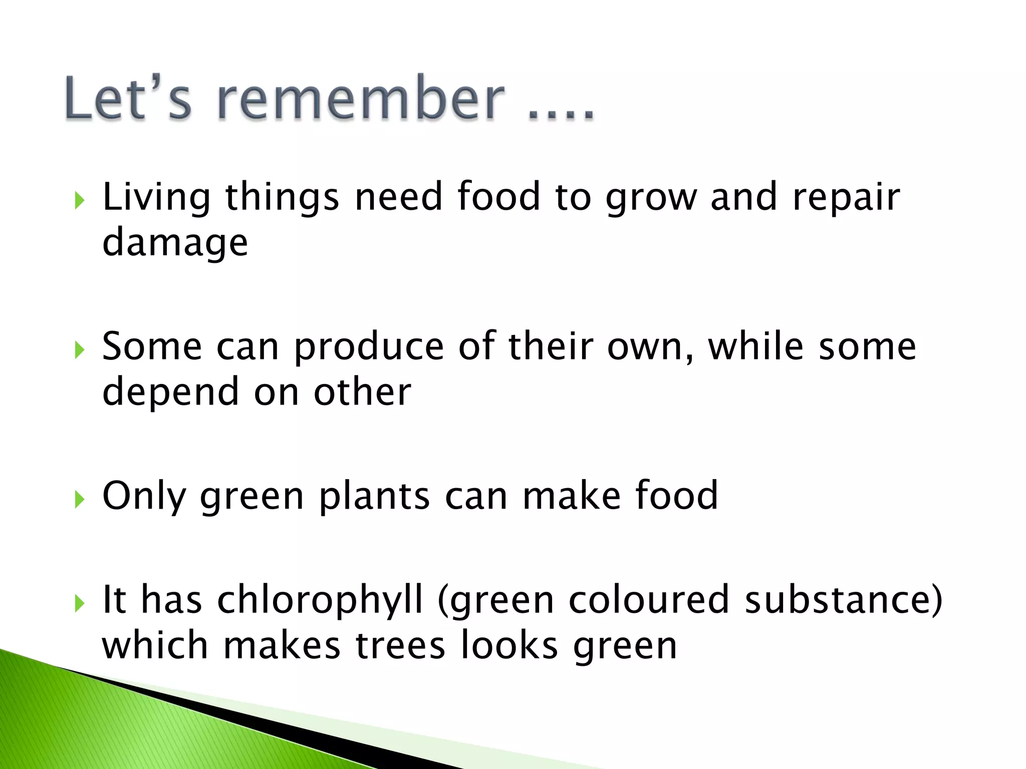 Green plants- the food producers | PDF