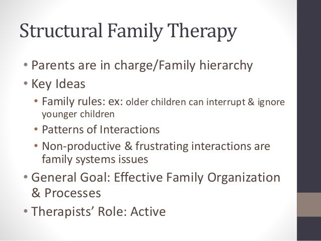The Use Of Structural Family Therapy