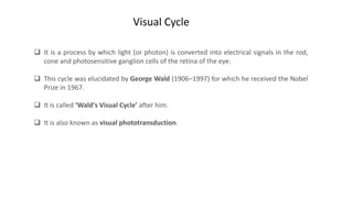Visual Cycle
 It is a process by which light (or photon) is converted into electrical signals in the rod,
cone and photosensitive ganglion cells of the retina of the eye.
 This cycle was elucidated by George Wald (1906–1997) for which he received the Nobel
Prize in 1967.
 It is called ‘Wald's Visual Cycle’ after him.
 It is also known as visual phototransduction.
 