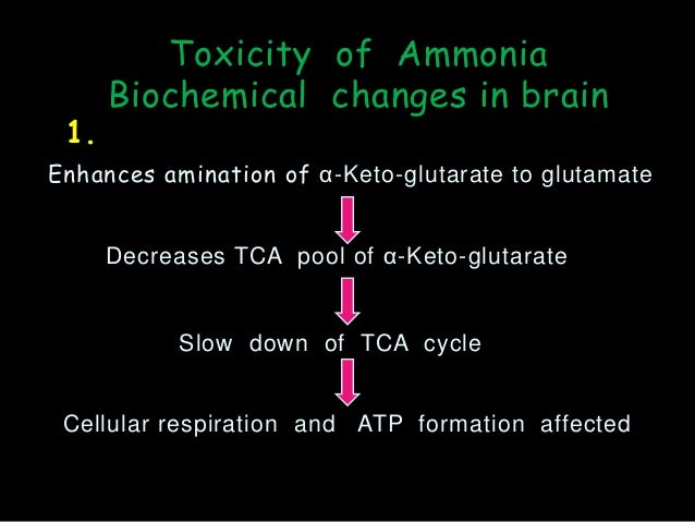 Formation and fate of ammonia