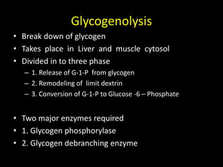 Glycogenolysis
• Break down of glycogen
• Takes place in Liver and muscle cytosol
• Divided in to three phase
– 1. Release of G-1-P from glycogen
– 2. Remodeling of limit dextrin
– 3. Conversion of G-1-P to Glucose -6 – Phosphate
• Two major enzymes required
• 1. Glycogen phosphorylase
• 2. Glycogen debranching enzyme
 