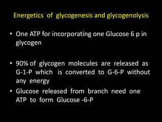 Energetics of glycogenesis and glycogenolysis
• One ATP for incorporating one Glucose 6 p in
glycogen
• 90% of glycogen molecules are released as
G-1-P which is converted to G-6-P without
any energy
• Glucose released from branch need one
ATP to form Glucose -6-P
 