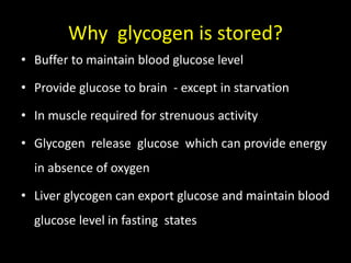 Why glycogen is stored?
• Buffer to maintain blood glucose level
• Provide glucose to brain - except in starvation
• In muscle required for strenuous activity
• Glycogen release glucose which can provide energy
in absence of oxygen
• Liver glycogen can export glucose and maintain blood
glucose level in fasting states
 