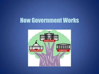 How Government Works
 