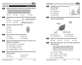 49
UN401
© Brain Mapping Academy
C L A S S : 5
$ ReadtheinformationinthegivenboxandidentifyanimalX.
Animal X eats plant parts. It gives birth to
young ones and feeds them with its milk.
(A) Fox (B) Goat (C) Cat (D) Dog
% Study the given concept map. Which of the following could
X be ?
(A) Mould (B) Mushroom
(C) Fern (D) Yeast
 The given seed gets dispersed by
(A) water.
(B) bird.
(C) insects.
(D) wind.
' Which of these protects the baby plant?
(A) Radicle (B) Plumule
(C) Cotyledons (D) Micropyle
! Which of the following actions involve a consumer and a
producer in a food chain?
(A) A frog feeding on a grasshopper.
(B) A grasshopper eating grass.
(C) A snake feeding on a frog.
(D) An eagle feeding on a snake.
! Which of the following organs is NOT a part of the human
nervous system?
(A) Brain (B) Spinal cord
(C) Humerus (D) Nerves
General Science
Code: 401
X Makes its own food
Reproduces from spores
#0
UN401
© Brain Mapping Academy
C L A S S : 5
! Identify the process that is shown in
the given figure.
(A) Freezing
(B) Condensation
(C) Evaporation
(D) Decantation
!! Which of the following processes that take place in a leaf is
shown in the given figure?
Oxygen
Carbon dioxide
Water
(A) Respiration (B) Reproduction
(C) Photosynthesis (D) Condensation
! Which part of the potato plant contains stored food?
(A) Root (B) Stem (C) Leaf (D) Fruit
!# What type of joints do X and Y in the given classification
table represent?
: ;
Elbow and knee Shoulder and pelvis
(A) X – Pivot, Y – Hinge
(B) X – Hinge, Y – Ball and socket
(C) X – Ball and socket, Y – Pivot
(D) X – Hinge, Y – Gliding
 