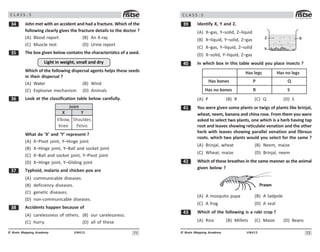 71
UN415
© Brain Mapping Academy
C L A S S : 5
! John met with an accident and had a fracture. Which of the
following clearly gives the fracture details to the doctor ?
(A) Blood report (B) An X-ray
(C) Muscle test (D) Urine report
!# The box given below contains the characteristics of a seed.
Light in weight, small and dry
Which of the following dispersal agents helps these seeds
in their dispersal ?
(A) Water (B) Wind
(C) Explosive mechanism (D) Animals
!$ Look at the classification table below carefully.
X
Elbow,
Knee
Y
Shoulder,
Pelvis
Joint
What do ‘X’ and ‘Y’ represent ?
(A) X–Pivot joint, Y–Hinge joint
(B) X–Hinge joint, Y–Ball and socket joint
(C) X–Ball and socket joint, Y–Pivot joint
(D) X–Hinge joint, Y–Gliding joint
!% Typhoid, malaria and chicken pox are
(A) communicable diseases.
(B) deficiency diseases.
(C) genetic diseases.
(D) non-communicable diseases.
! Accidents happen because of
(A) carelessness of others. (B) our carelessness.
(C) hurry. (D) all of these
72
UN415
© Brain Mapping Academy
C L A S S : 5
!' Identify X, Y and Z.
(A) X–gas, Y–solid, Z–liquid
(B) X–liquid, Y–solid, Z–gas
(C) X–gas, Y–liquid, Z–solid
(D) X–solid, Y–liquid, Z–gas
 In which box in this table would you place insects ?
Has legs
Has bones P
R
Q
S
Has no bones
Has no legs
(A) P (B) R (C) Q (D) S
 You were given some plants or twigs of plants like brinjal,
wheat, neem, banana and china rose. From them you were
asked to select two plants, one which is a herb having tap
root and leaves showing reticulate venation and the other
herb with leaves showing parallel venation and fibrous
roots. which two plants would you select for the same ?
(A) Brinjal, wheat (B) Neem, maize
(C) Wheat, maize (D) Brinjal, neem
 Which of these breathes in the same manner as the animal
given below ?
(A) A mosquito pupa (B) A tadpole
(C) A frog (D) A seal
! Which of the following is a rabi crop ?
(A) Rice (B) Millets (C) Maize (D) Beans
X
Y
Z
Prawn
 